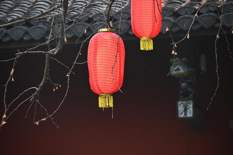 Geldanziehendes Feng Shui: Gestaltung der Wohlstandsecke und Glücksbringer für finanziellen Wohlstand