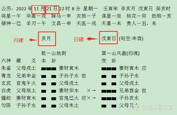 六爻占卜的月建与日建：时间的力量