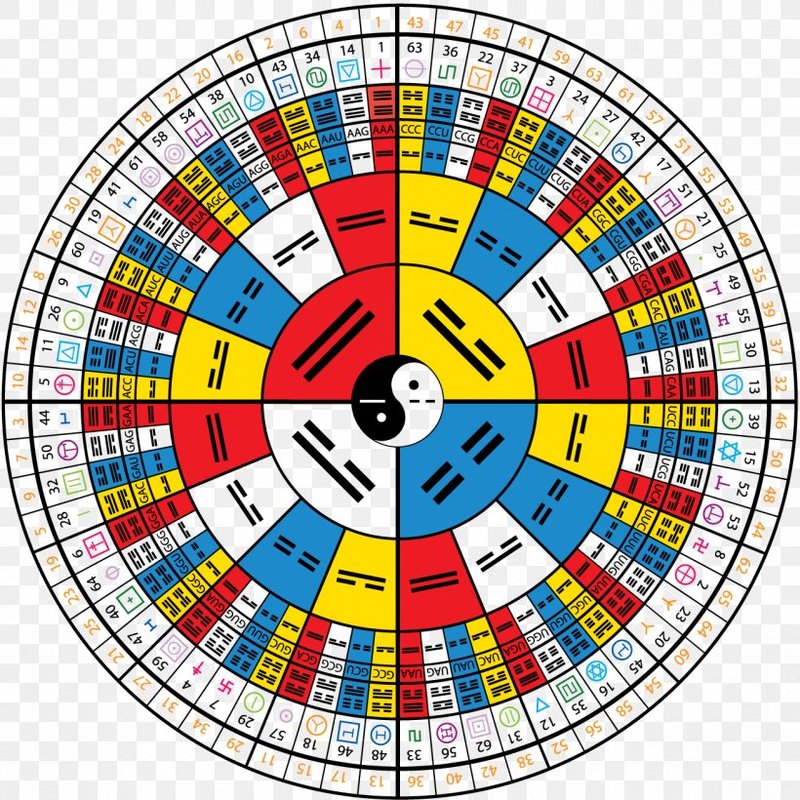 六十四卦的构成：八宫与卦变